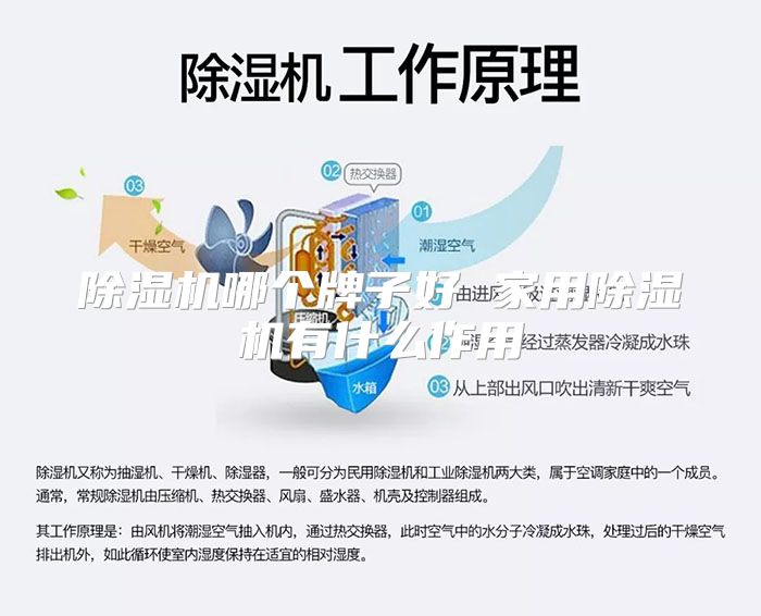 除湿机哪个牌子好 家用除湿机有什么作用
