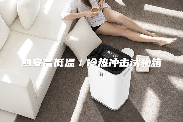 西安高低温／冷热冲击试验箱