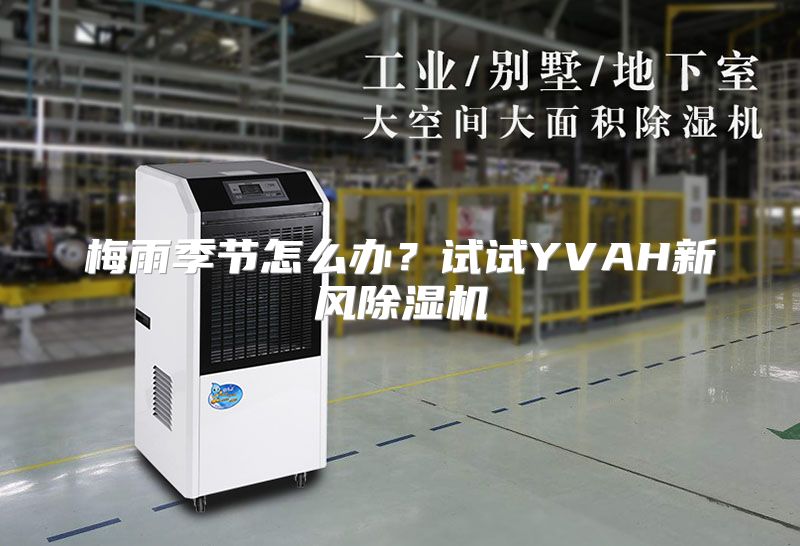 梅雨季节怎么办？试试YVAH新风除湿机