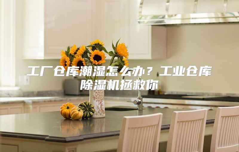 工厂仓库潮湿怎么办？工业仓库除湿机拯救你
