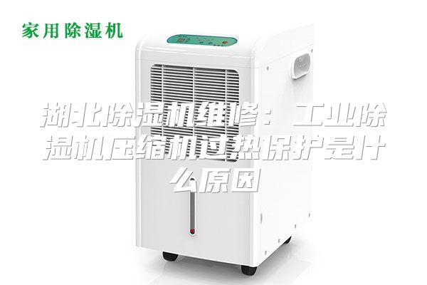 湖北除湿机维修：工业除湿机压缩机过热保护是什么原因
