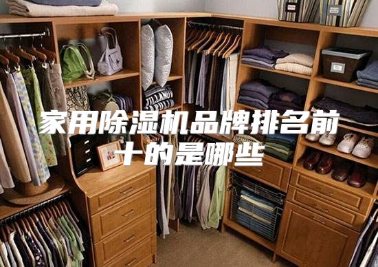 家用除湿机品牌排名前十的是哪些