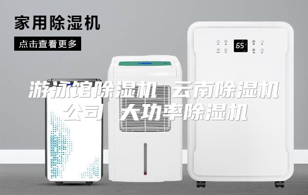 游泳馆除湿机 云南除湿机公司 大功率除湿机