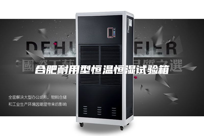 合肥耐用型恒温恒湿试验箱