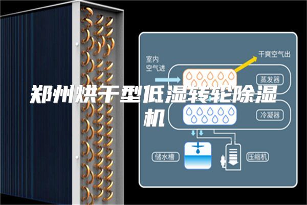 郑州烘干型低湿转轮除湿机