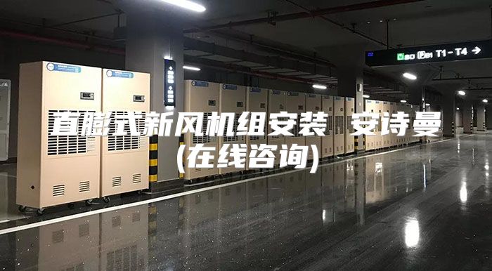 直膨式新风机组安装 安诗曼(在线咨询)