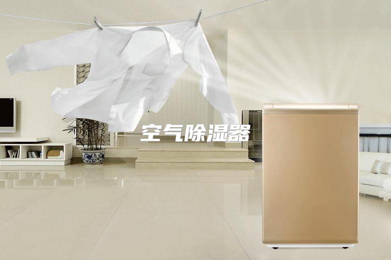 空气除湿器
