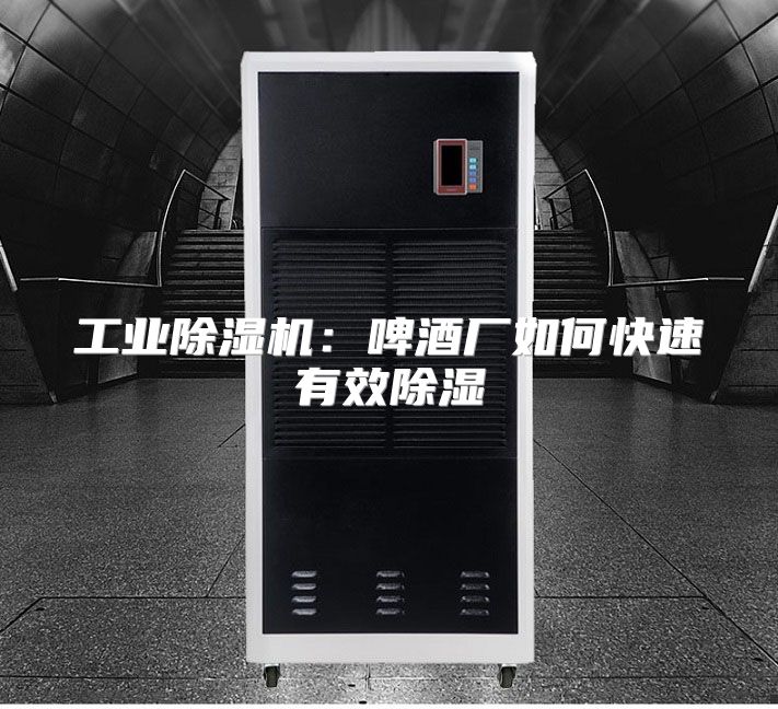 工业除湿机：啤酒厂如何快速有效除湿