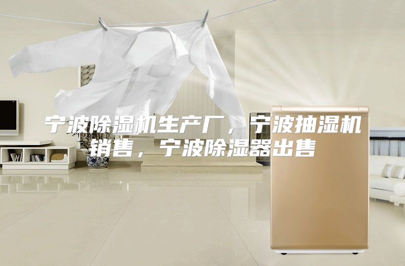 宁波除湿机生产厂，宁波抽湿机销售，宁波除湿器出售