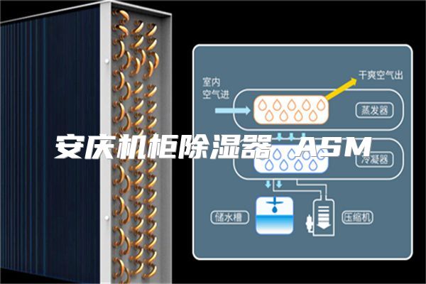 安庆机柜除湿器 ASM