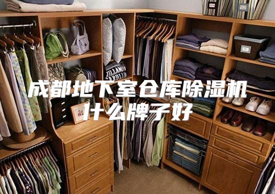 成都地下室仓库除湿机什么牌子好