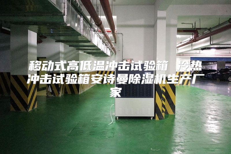 移动式高低温冲击试验箱 冷热冲击试验箱安诗曼除湿机生产厂家