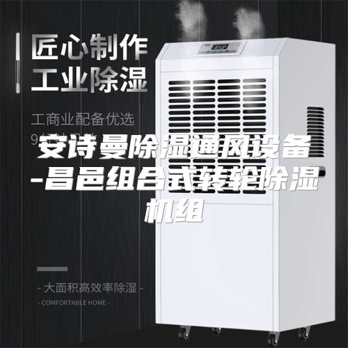 安诗曼除湿通风设备-昌邑组合式转轮除湿机组