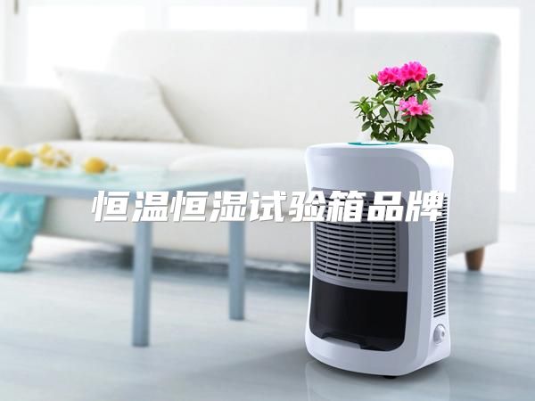 恒温恒湿试验箱品牌