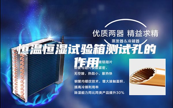 恒温恒湿试验箱测试孔的作用
