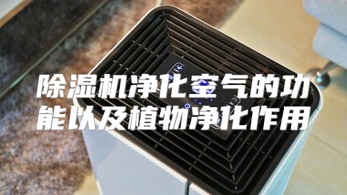 除湿机净化空气的功能以及植物净化作用