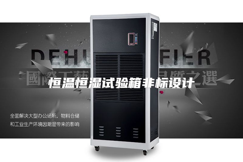 恒温恒湿试验箱非标设计