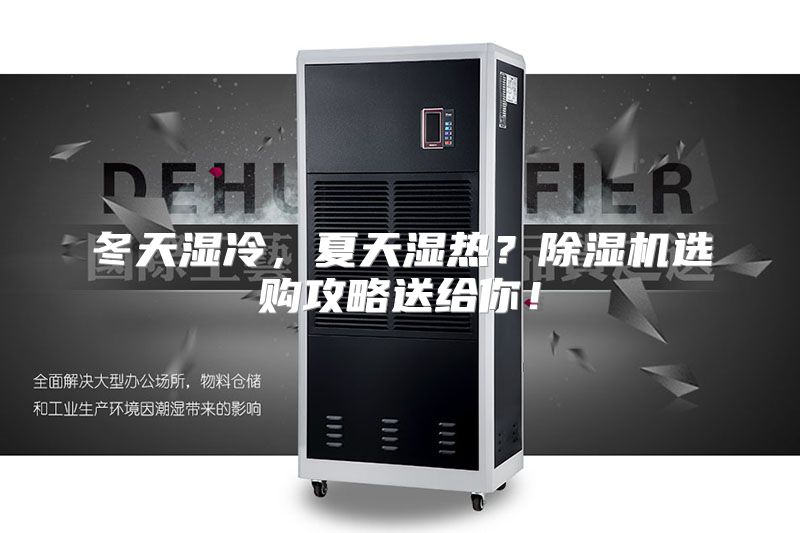 冬天湿冷，夏天湿热？除湿机选购攻略送给你！