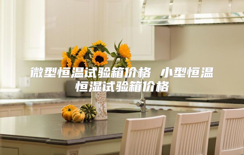 微型恒温试验箱价格 小型恒温恒湿试验箱价格