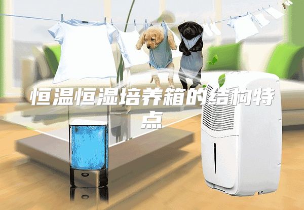 恒温恒湿培养箱的结构特点