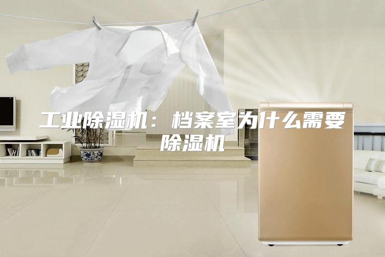 工业除湿机：档案室为什么需要除湿机
