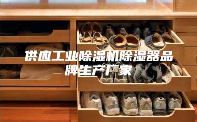 供应工业除湿机除湿器品牌生产厂家