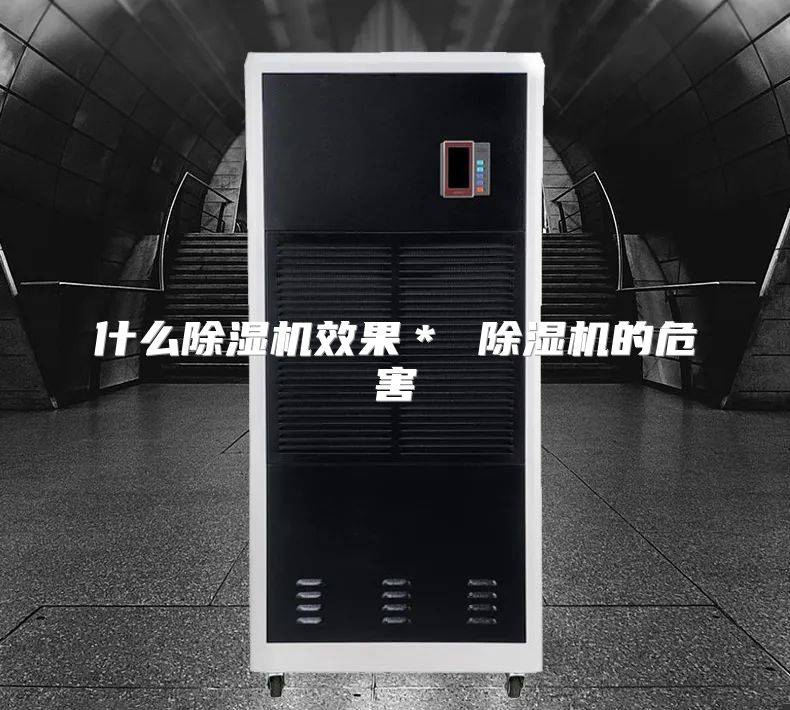 什么除湿机效果＊ 除湿机的危害