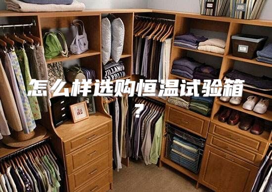 怎么样选购恒温试验箱？
