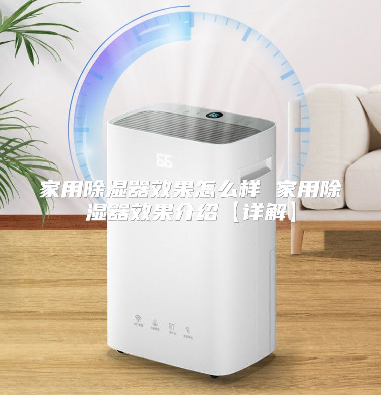 家用除湿器效果怎么样 家用除湿器效果介绍【详解】