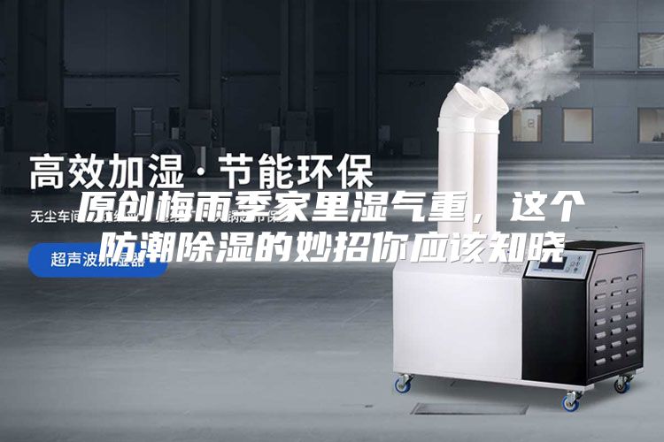 原创梅雨季家里湿气重，这个防潮除湿的妙招你应该知晓