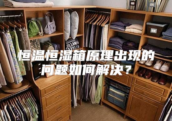 恒温恒湿箱原理出现的问题如何解决？