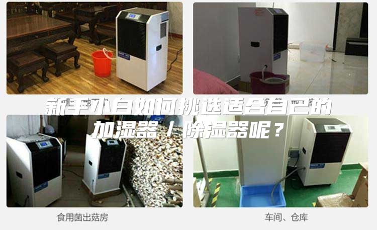 新手小白如何挑选适合自己的加湿器／除湿器呢？