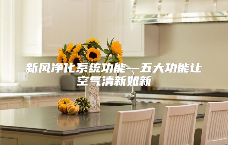 新风净化系统功能—五大功能让空气清新如新
