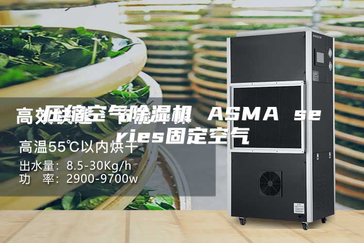 压缩空气除湿机 ASMA series固定空气
