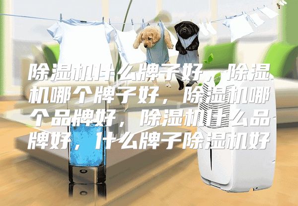 除湿机什么牌子好，除湿机哪个牌子好，除湿机哪个品牌好，除湿机什么品牌好，什么牌子除湿机好