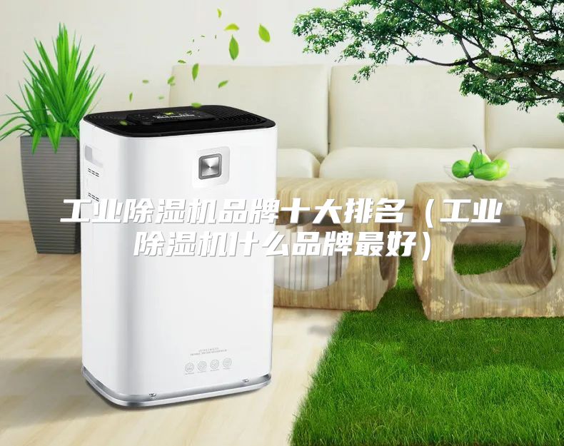 工业除湿机品牌十大排名（工业除湿机什么品牌最好）