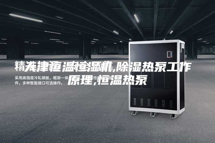 天津恒温恒湿机,除湿热泵工作原理,恒温热泵