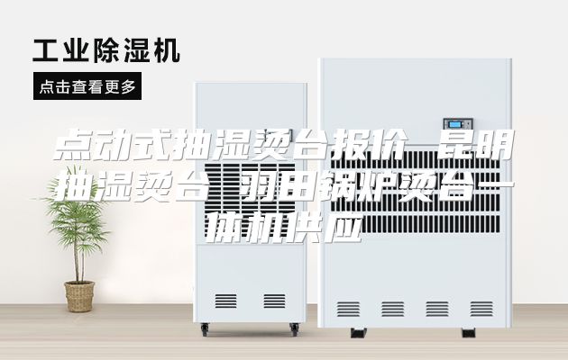 点动式抽湿烫台报价 昆明抽湿烫台 羽田锅炉烫台一体机供应