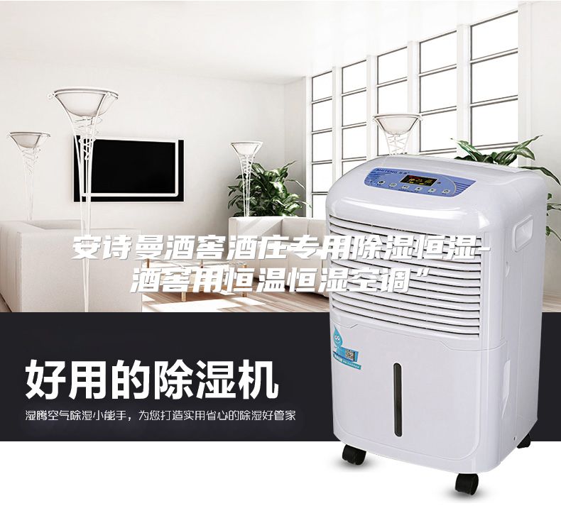 安诗曼酒窖酒庄专用除湿恒湿-酒窖用恒温恒湿空调”