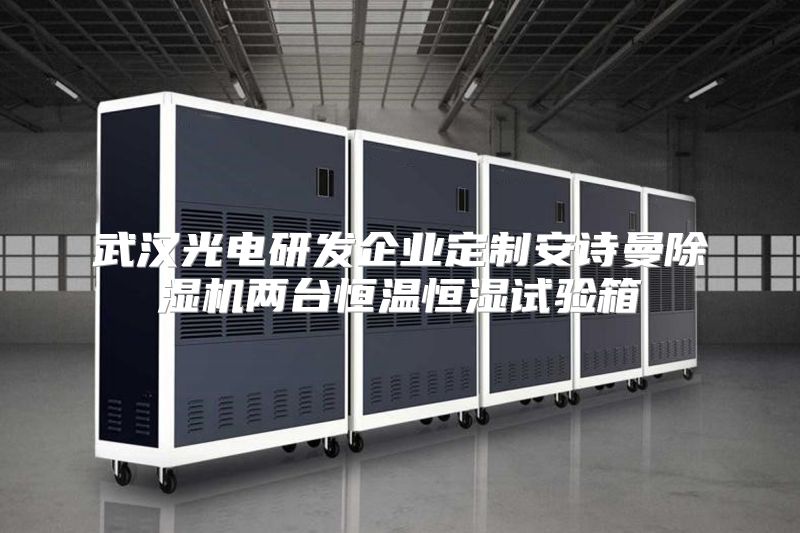武汉光电研发企业定制安诗曼除湿机两台恒温恒湿试验箱
