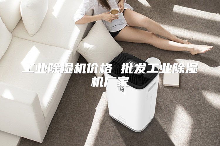 工业除湿机价格 批发工业除湿机厂家