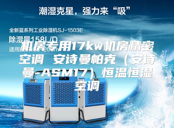 机房专用17kw机房精密空调 安诗曼帕克（安诗曼-ASM17）恒温恒湿空调