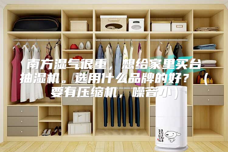 南方湿气很重，想给家里买台抽湿机。选用什么品牌的好？（要有压缩机，噪音小）