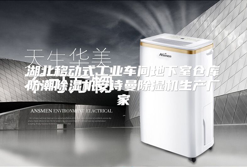湖北移动式工业车间地下室仓库防潮除湿机安诗曼除湿机生产厂家