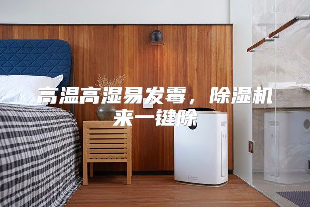 高温高湿易发霉，除湿机来一键除