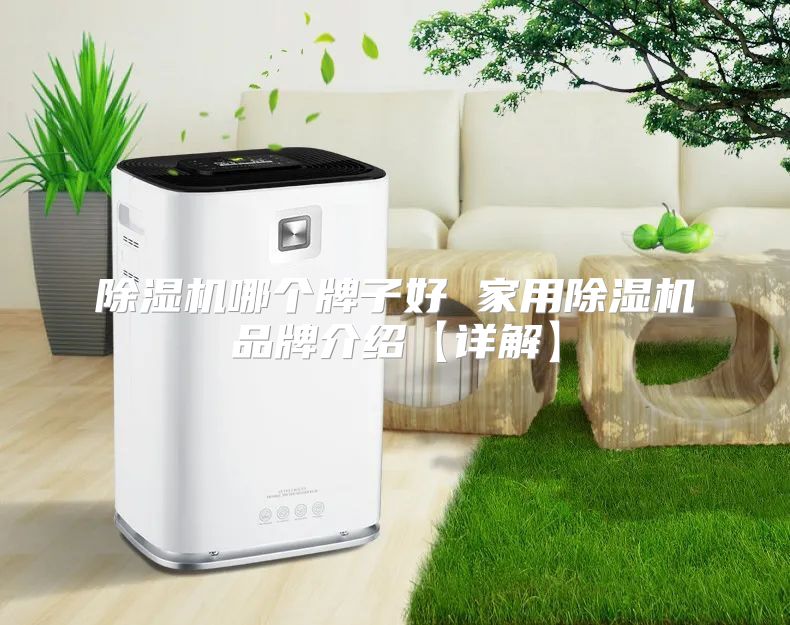 除湿机哪个牌子好 家用除湿机品牌介绍【详解】