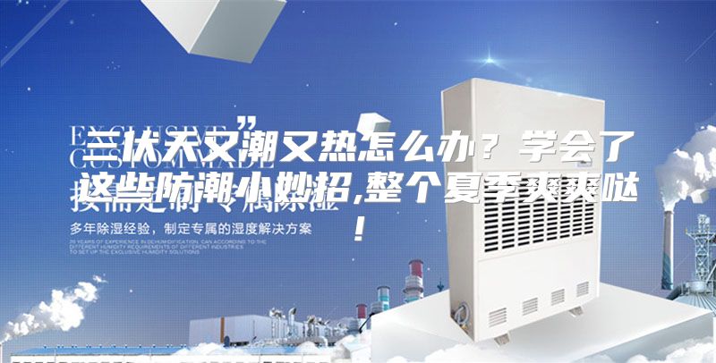 三伏天又潮又热怎么办？学会了这些防潮小妙招,整个夏季爽爽哒!