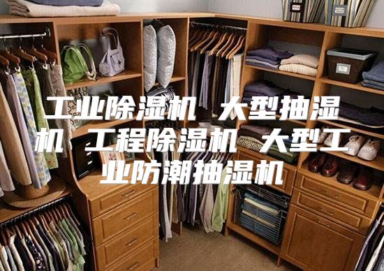 工业除湿机 大型抽湿机 工程除湿机 大型工业防潮抽湿机