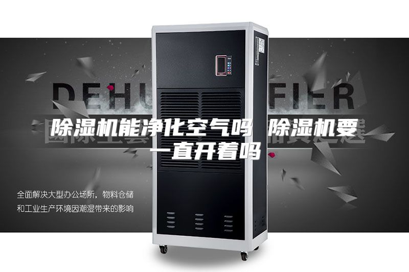 除湿机能净化空气吗 除湿机要一直开着吗