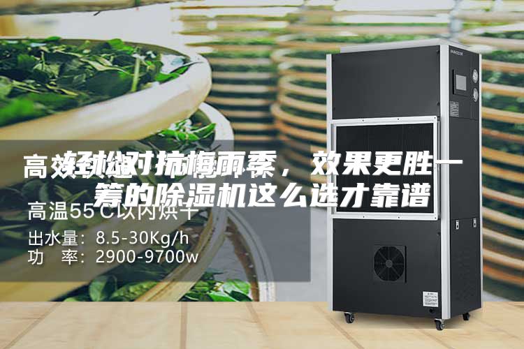 轻松对抗梅雨季，效果更胜一筹的除湿机这么选才靠谱